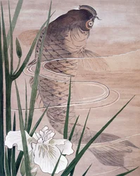 Fisch